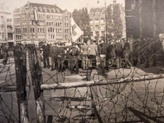 Lees meer over het artikel Theo Bosma