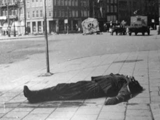 Lees meer over het artikel Mevrouw Hemelrijk:   Bevrijd!