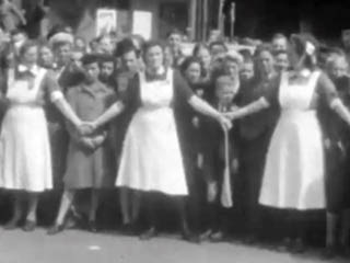 Lees meer over het artikel Wil Haaksma