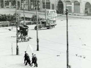 Lees meer over het artikel De Bruin