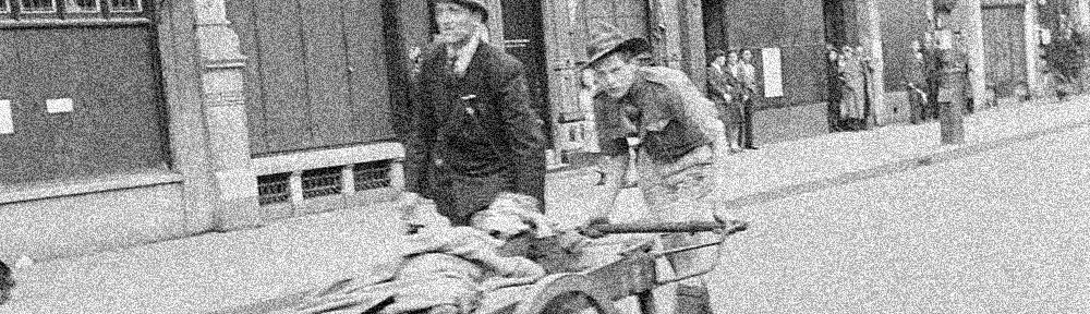 Lees meer over het artikel Padvinders op de Dam