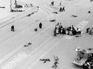 Lees meer over het artikel William Franciscus Leijns