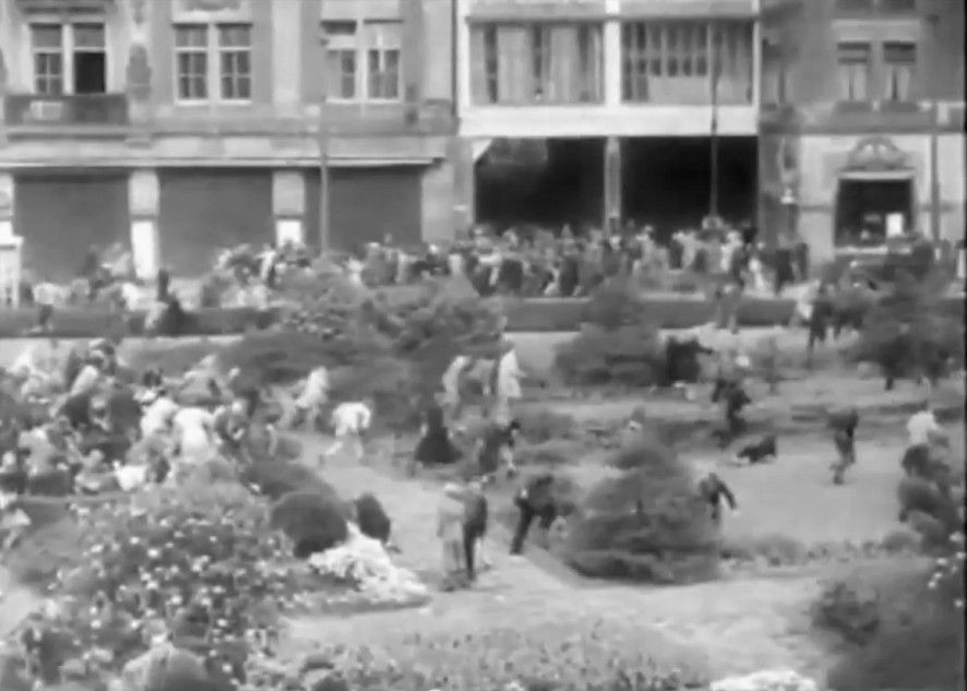 Lees meer over het artikel Ad Soest