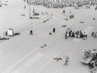 Read more about the article Hans Vree