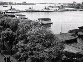 Lees meer over het artikel Geesje de Vries