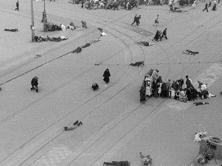 Lees meer over het artikel Antonius Lavertu