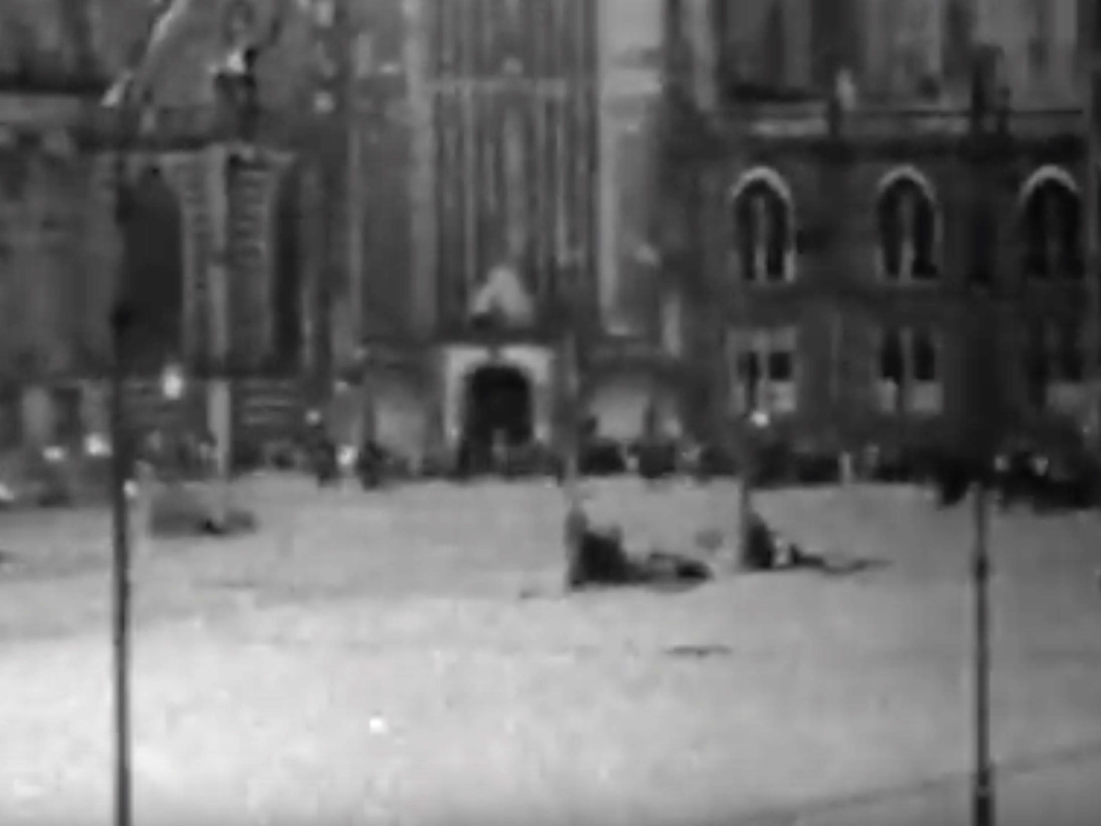 Lees meer over het artikel Impje Bes