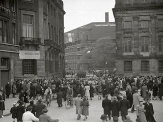 Read more about the article Irene van Lente