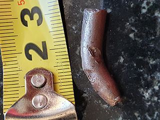 Lees meer over het artikel Willem Willems